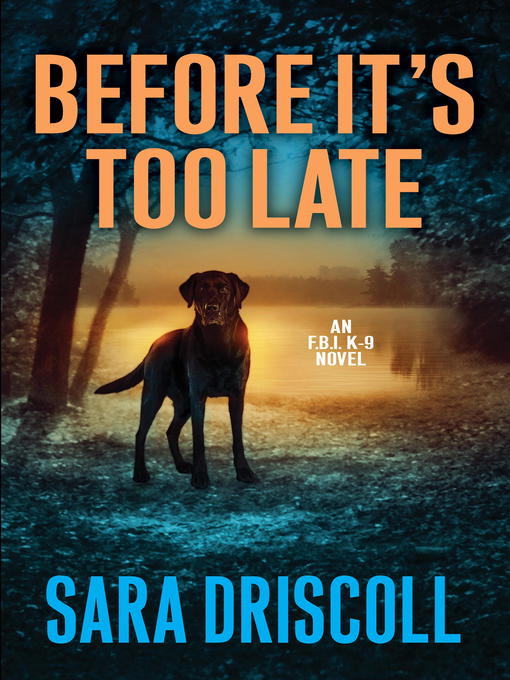 Title details for Before It's Too Late by Sara Driscoll - Available